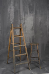 1294 Grey Strong Text XL