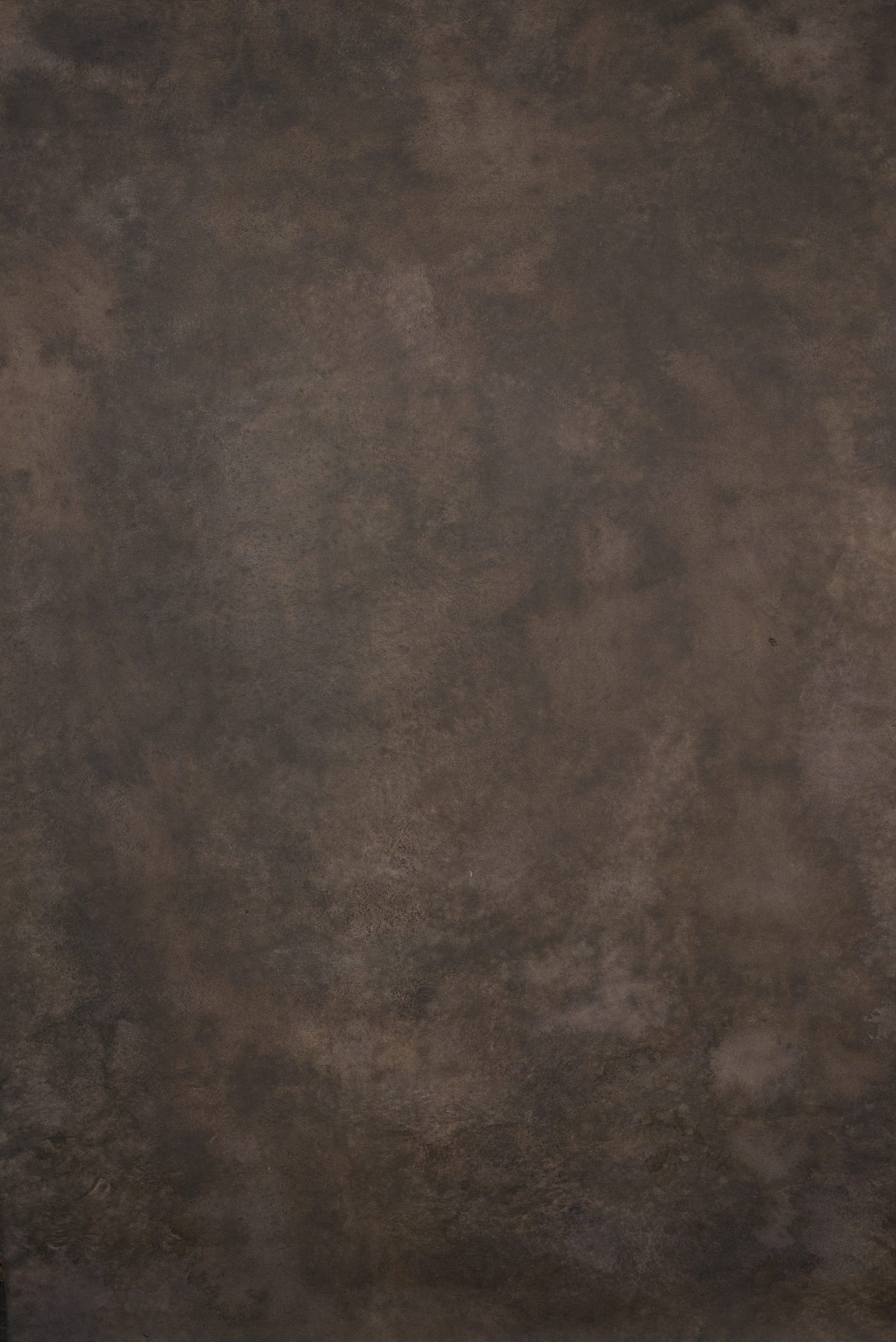 12951 Warm Grey Strong Text ST