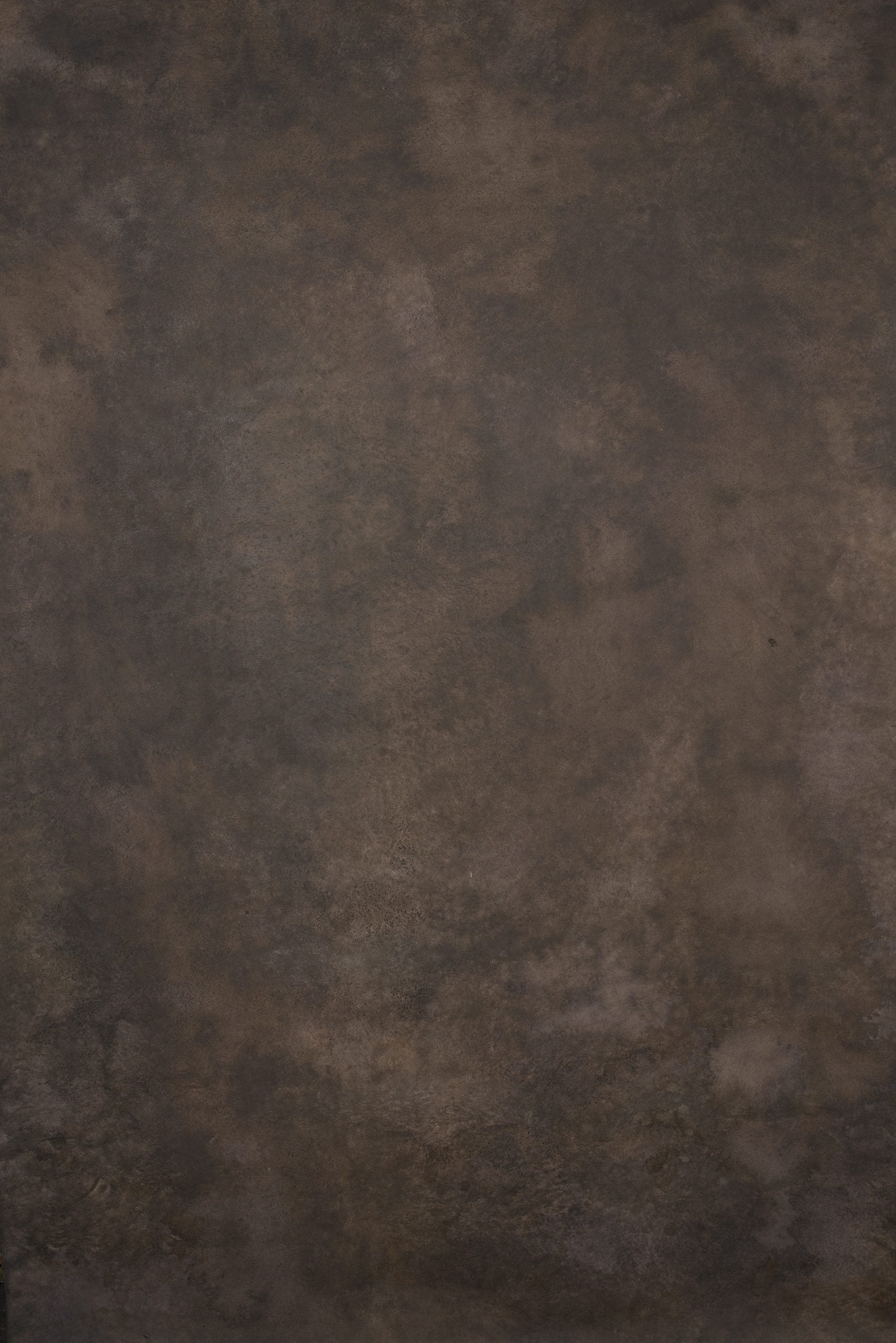 12951 Warm Grey Strong Text ST