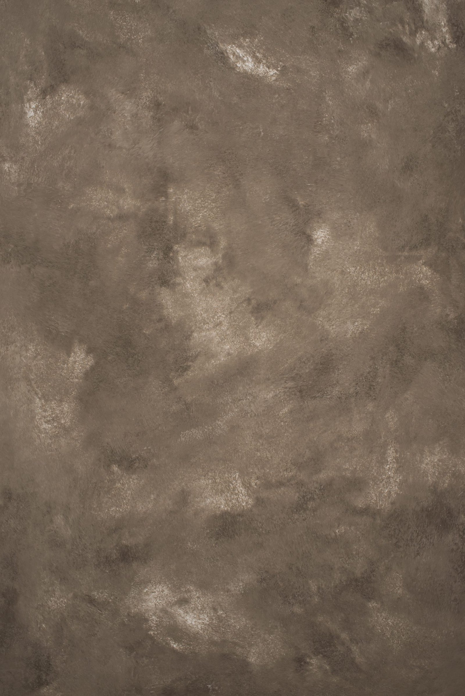 12953 Warm Grey Strong Text ST