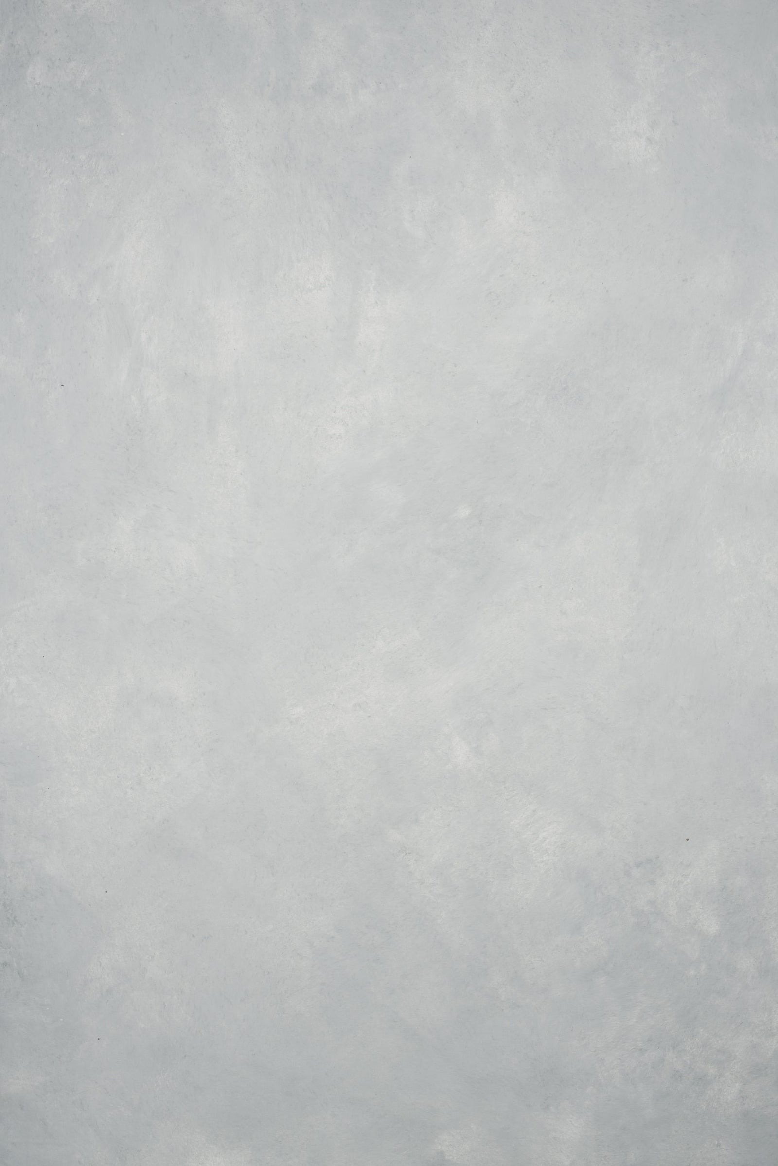 12961 Light Cold Grey Low Text ST
