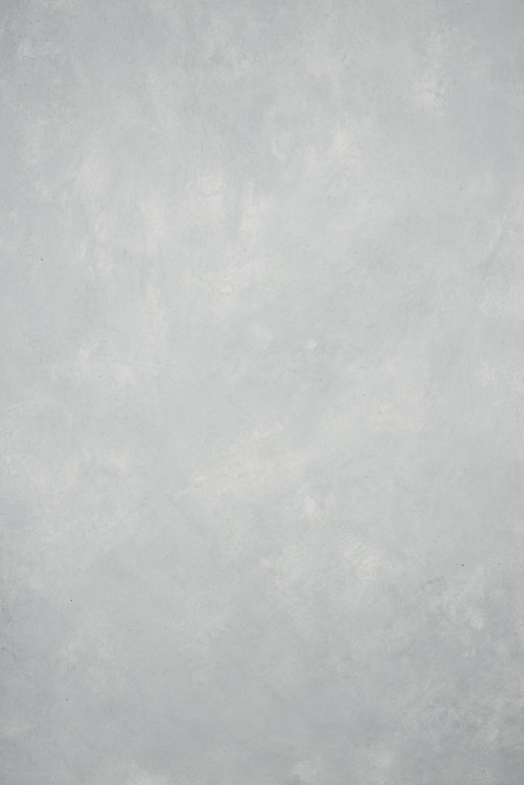 12961 Light Cold Grey Low Text ST