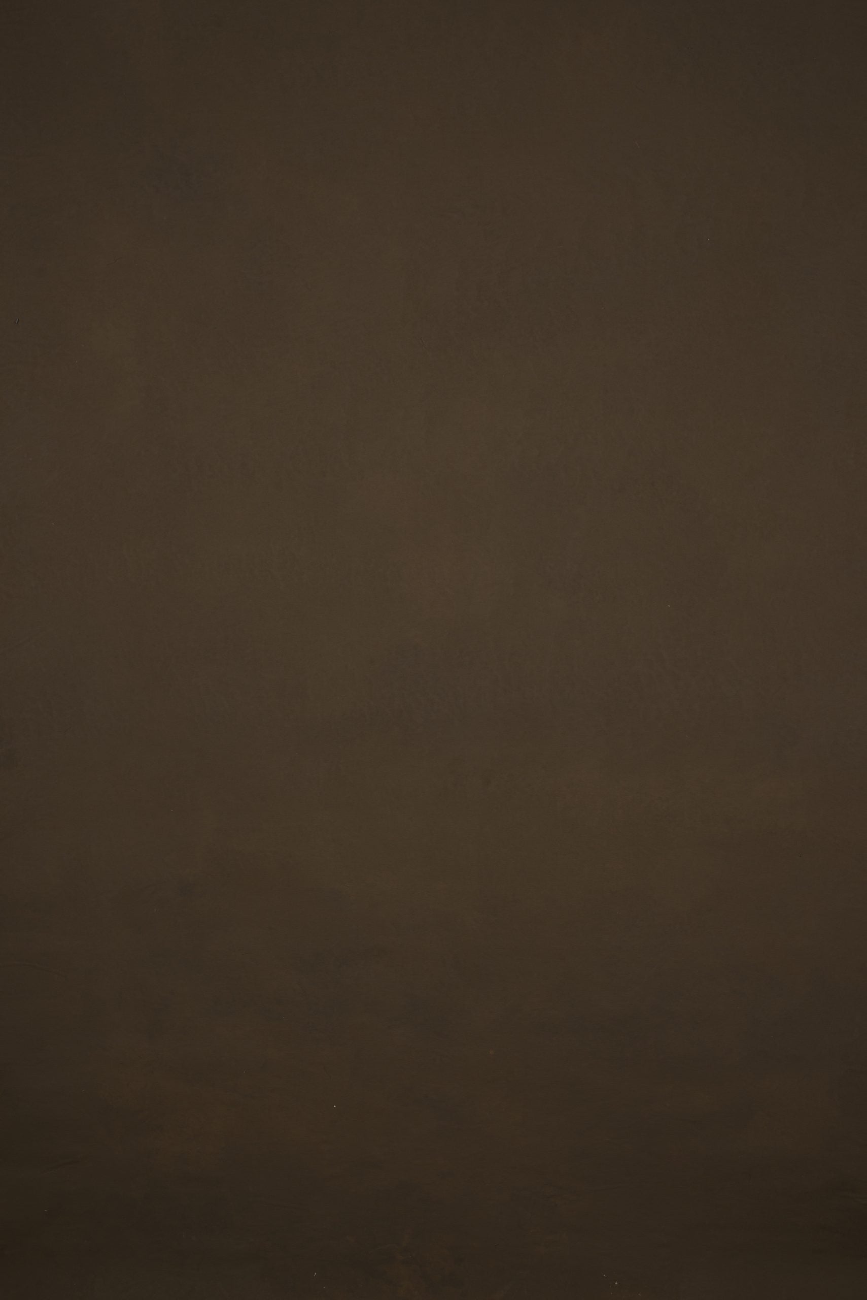 12967 Brown Low Text ST