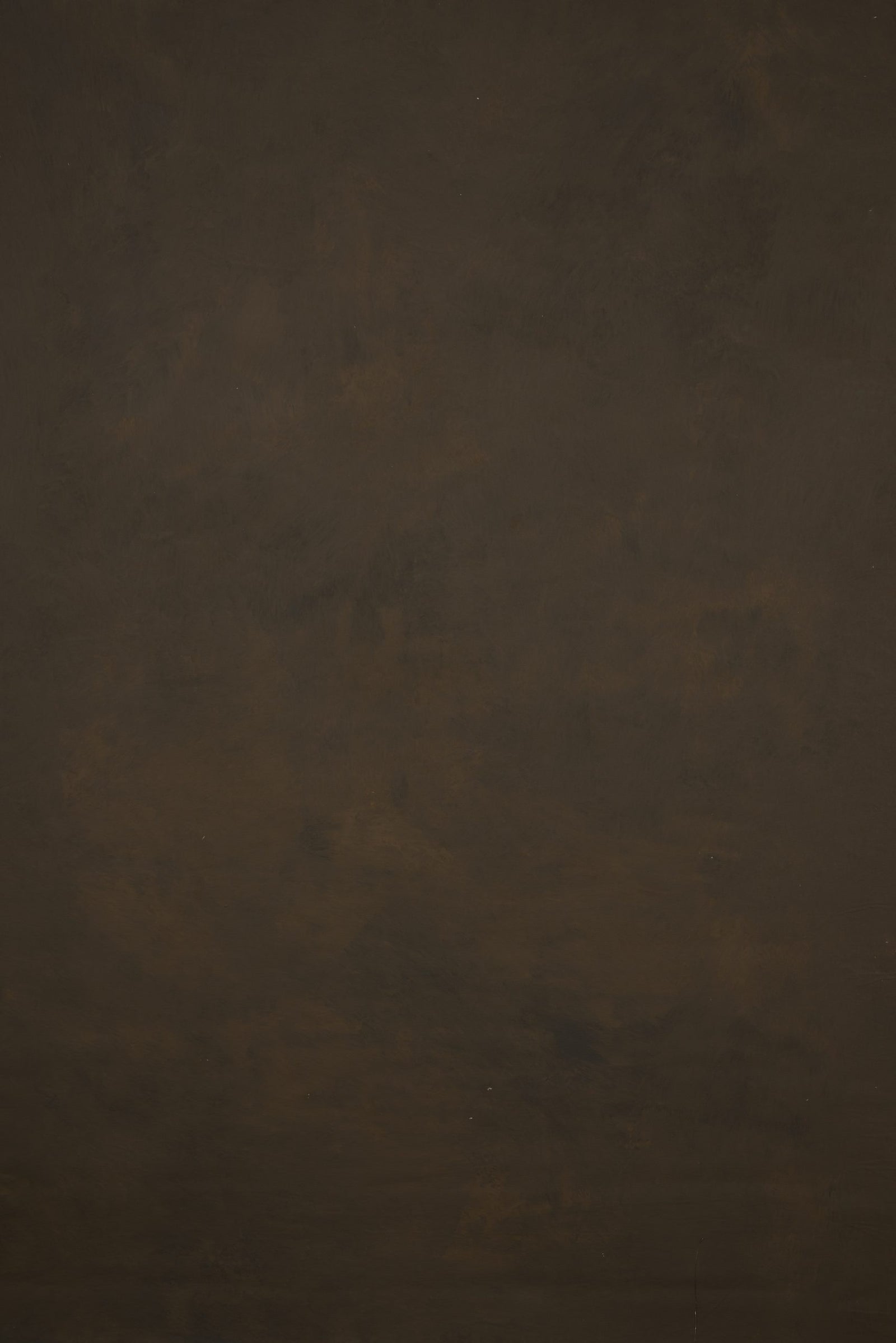 12969 Brown Low Text ST