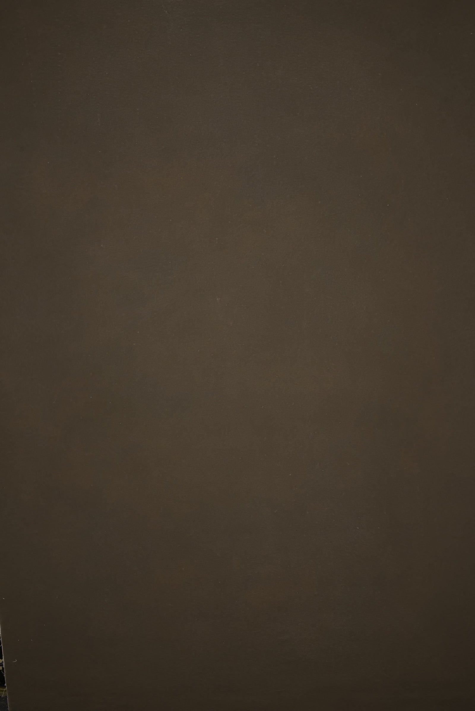 12988 Brown Distressed Text ST