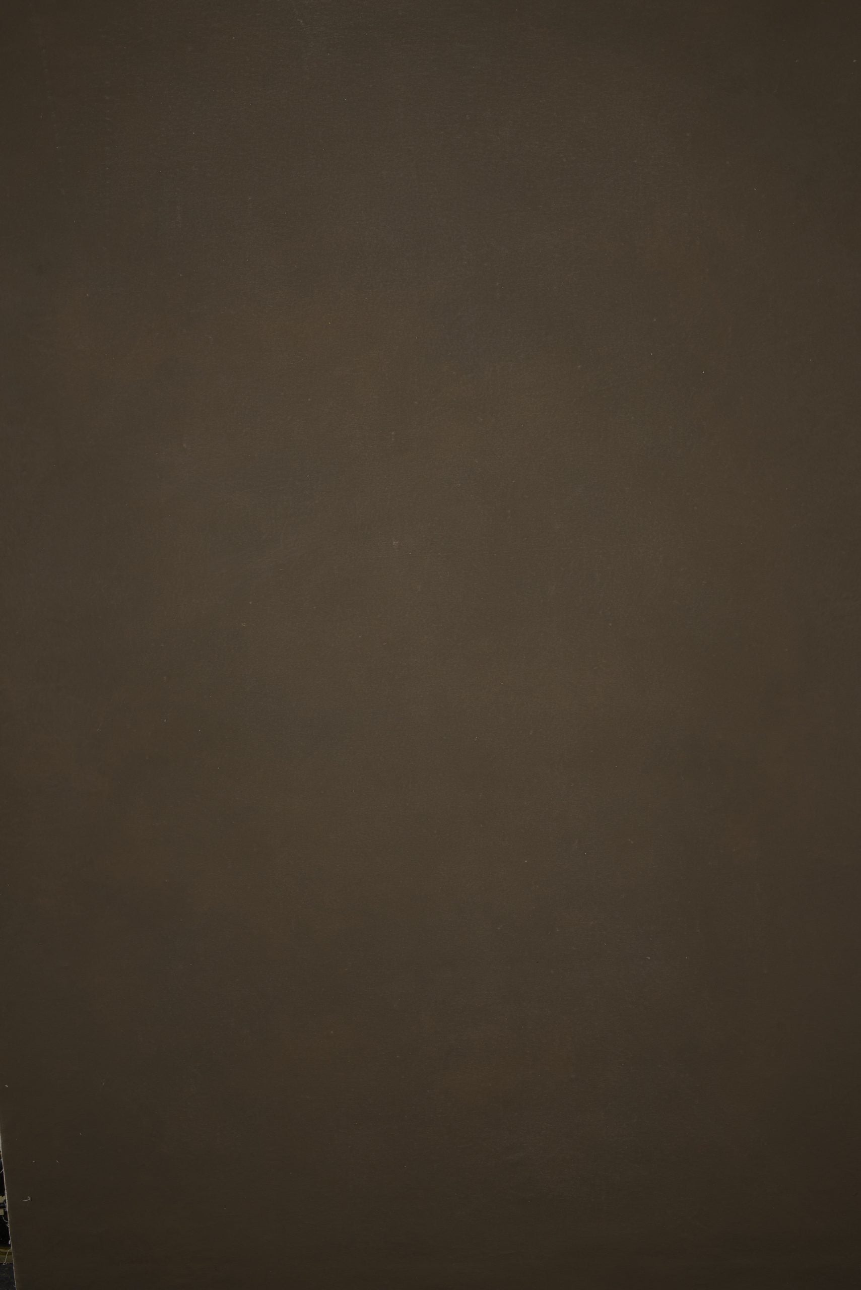 12988 Brown Distressed Text ST