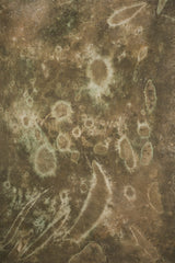 12989 Brown Green Strong Text ST