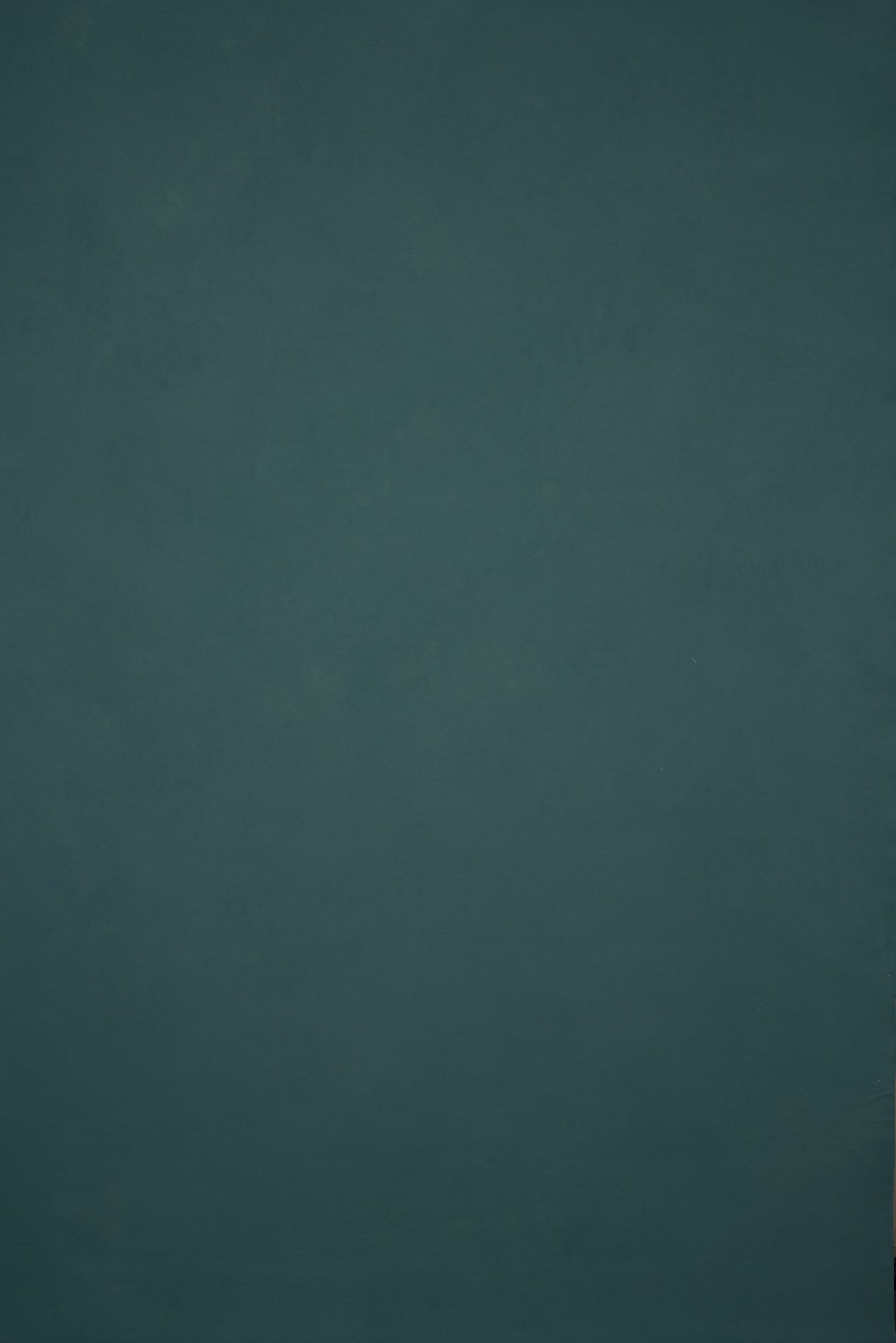 12994 Green Low Text ST