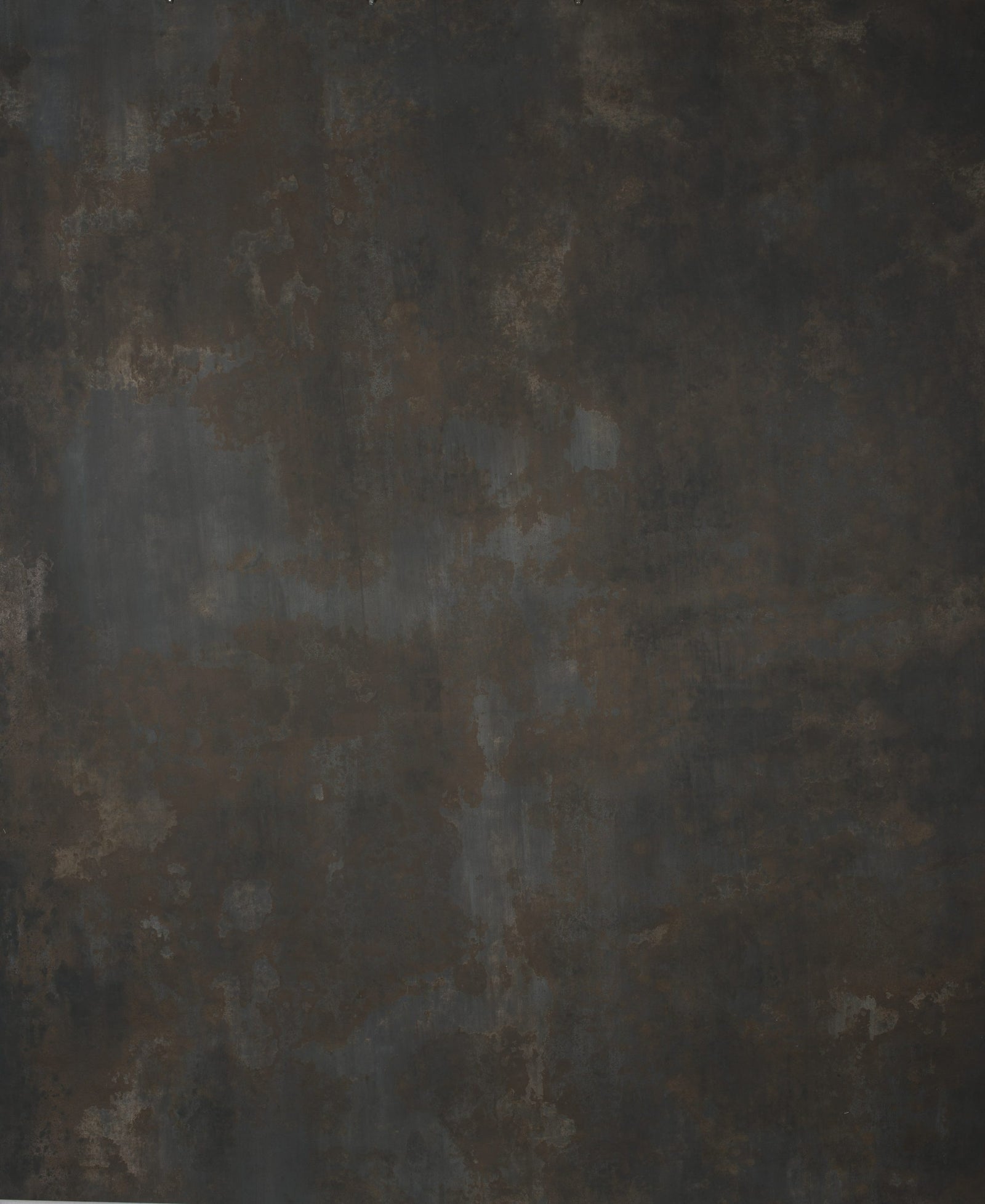 1301 Cold Grey Strong Text L+