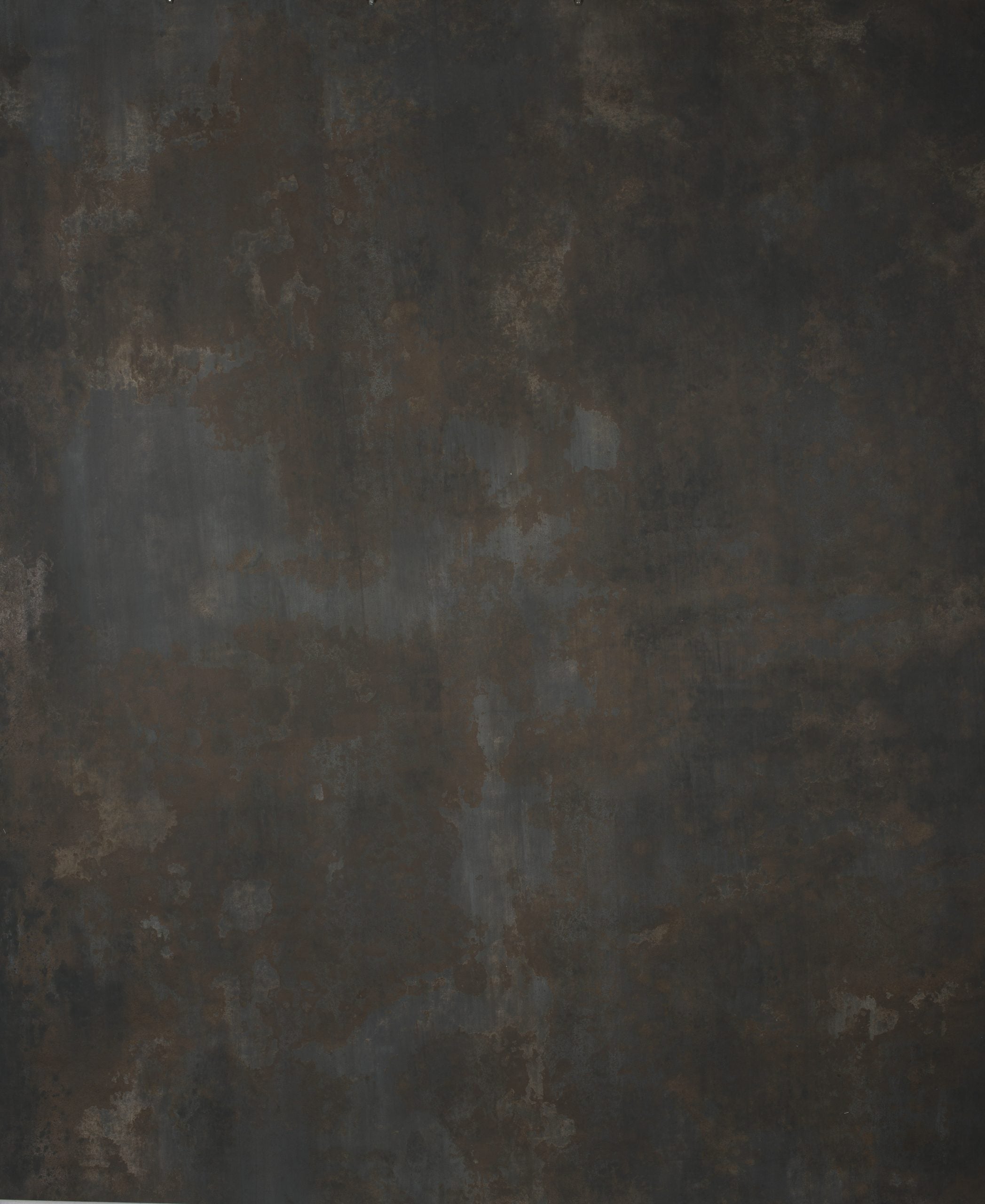 1301 Cold Grey Strong Text L+