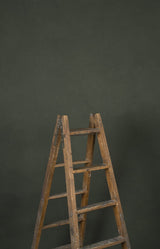13011 Dark Green Low Text ST