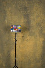 13019 Ochre Strong Text ST