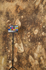 13020 Ochre Brown Strong Text ST