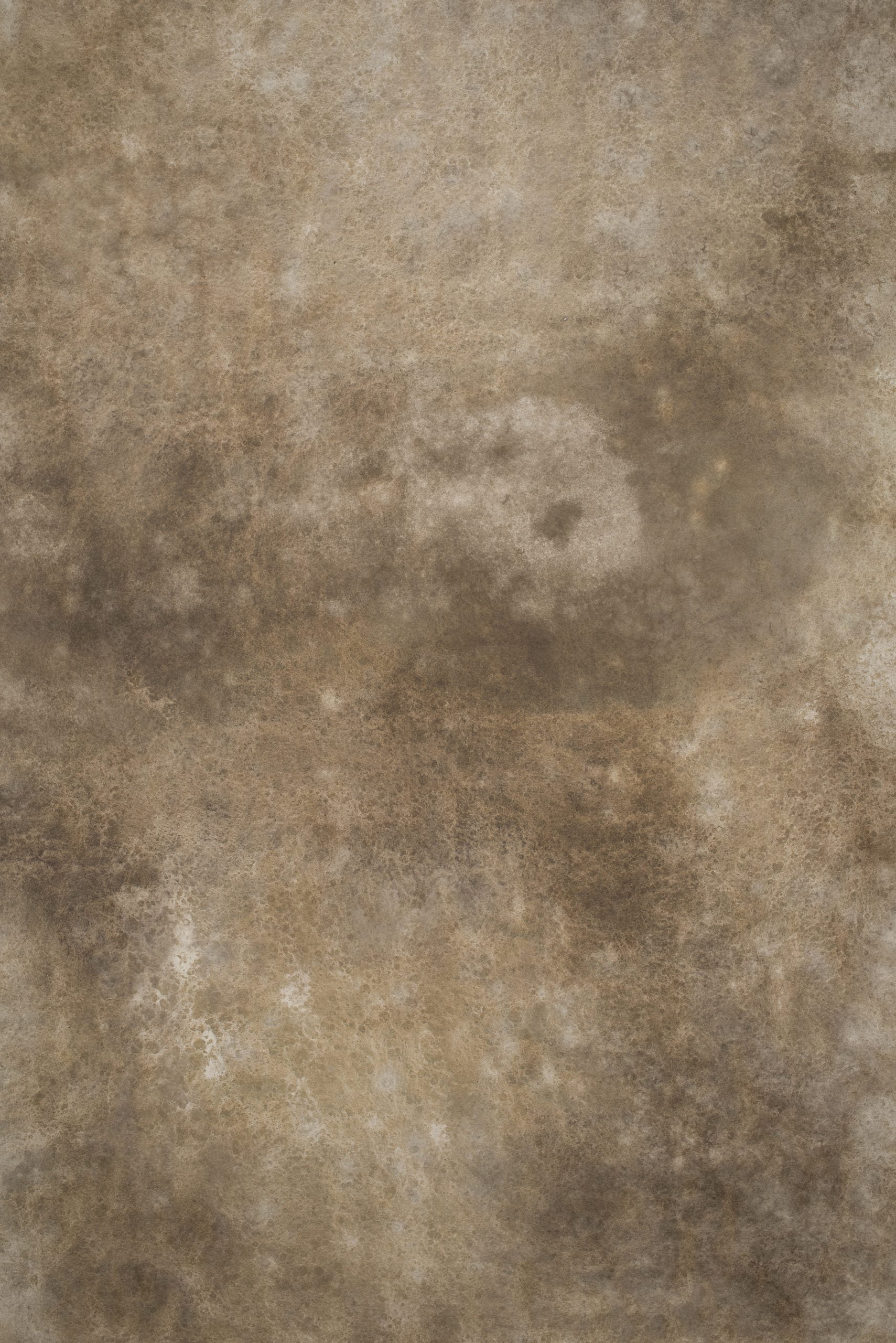 13031 Beige Strong Text ST