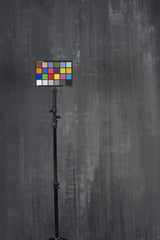 1307 Dark Grey Strong Text L+