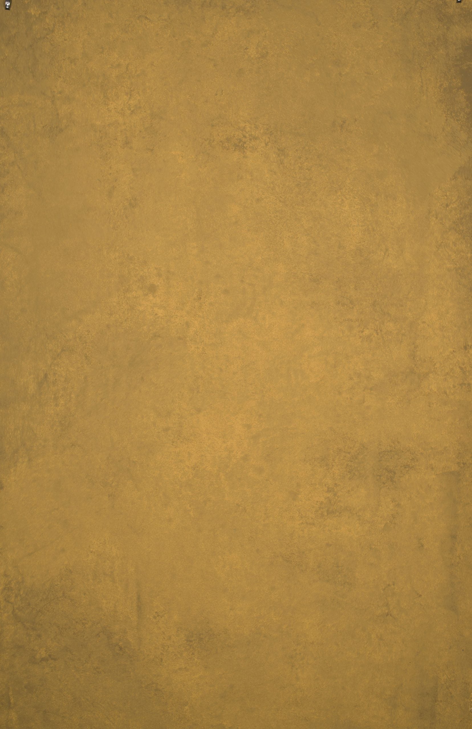13086 Ochre Mid Text XS
