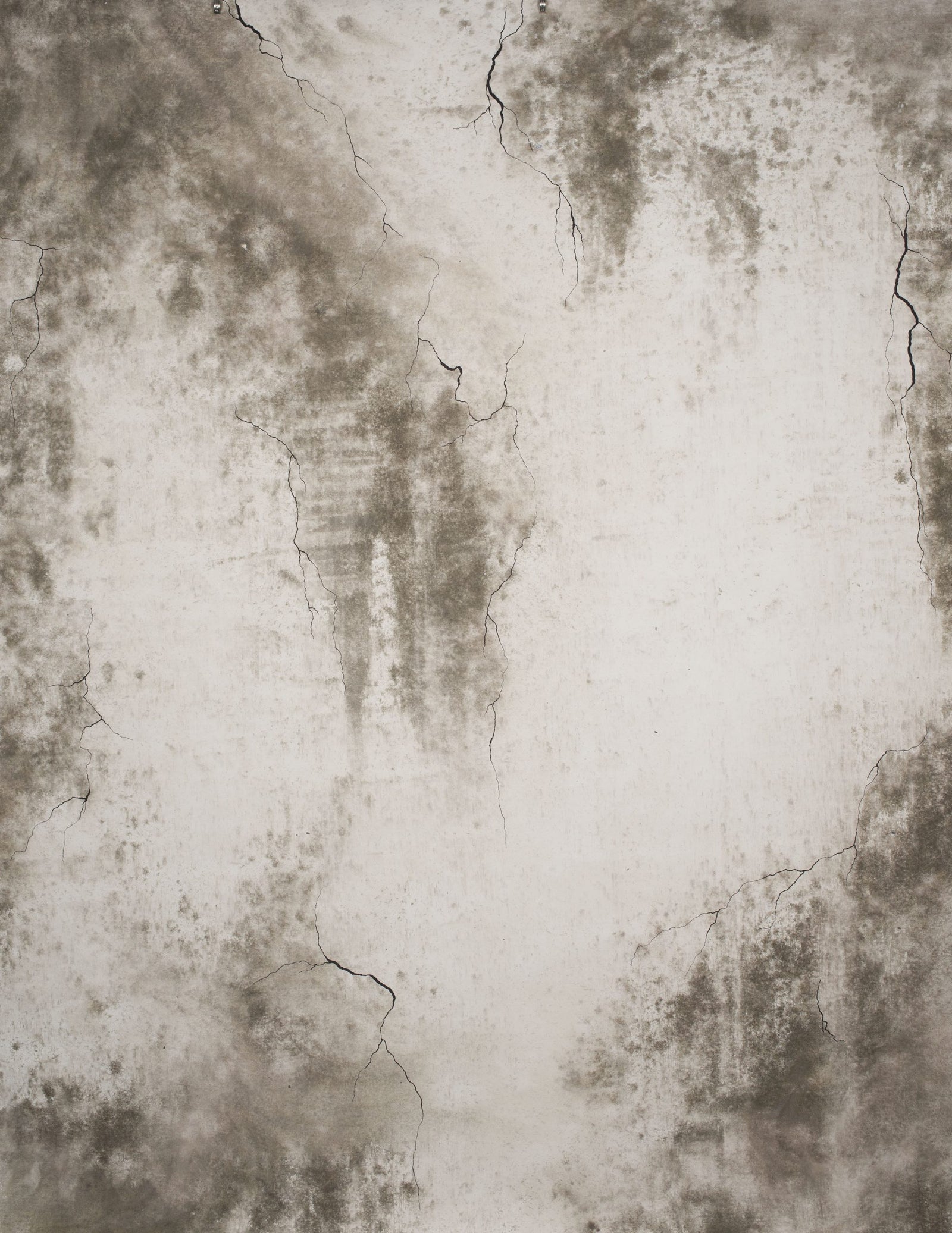 13112 Grey Strong Text L