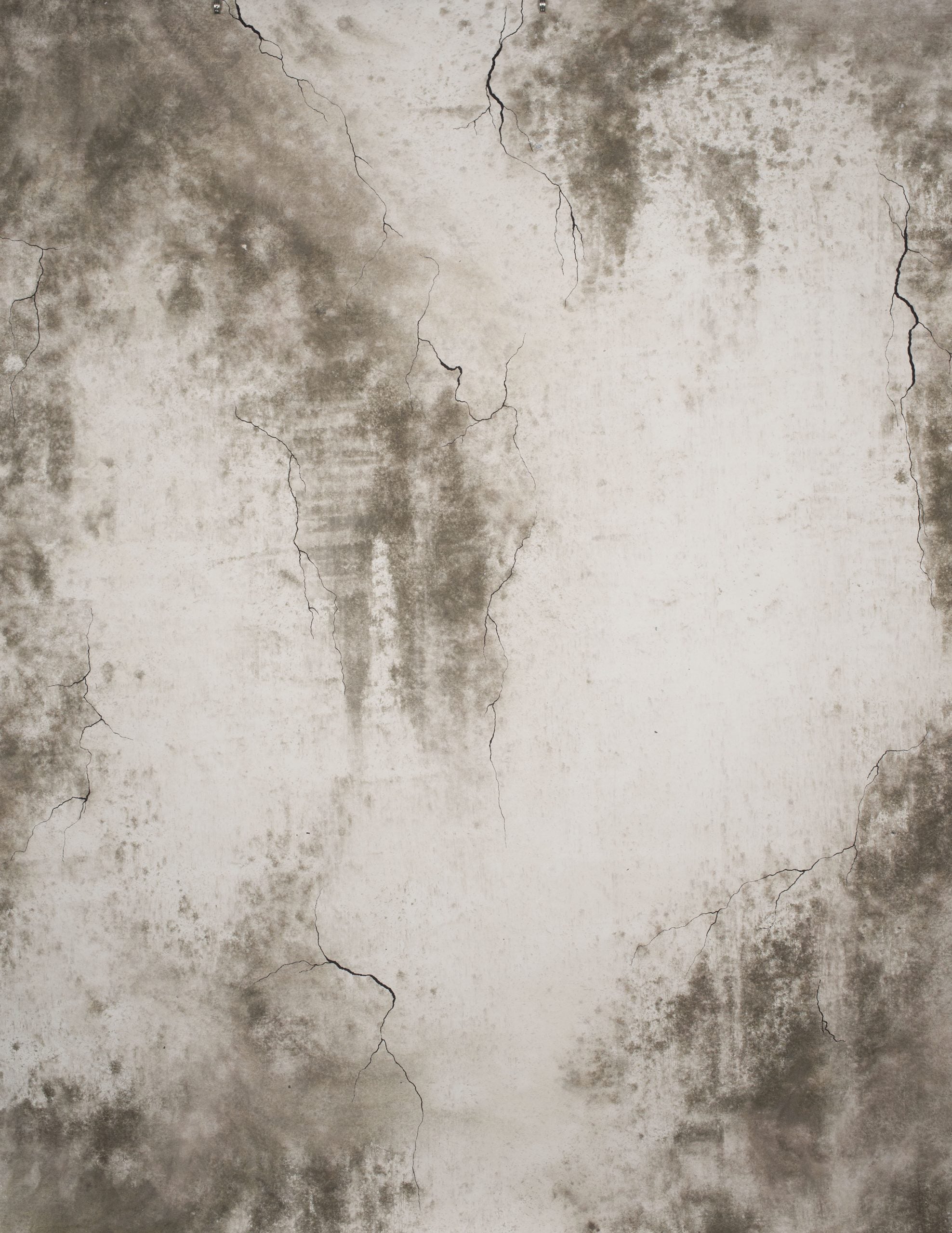 13112 Grey Strong Text L