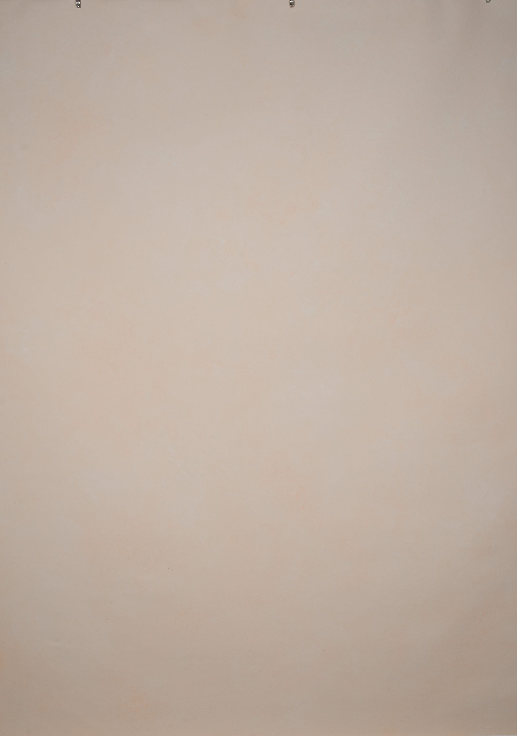 1313 Beige Low Text L+
