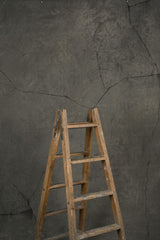13137 Warm Grey Strong Text L
