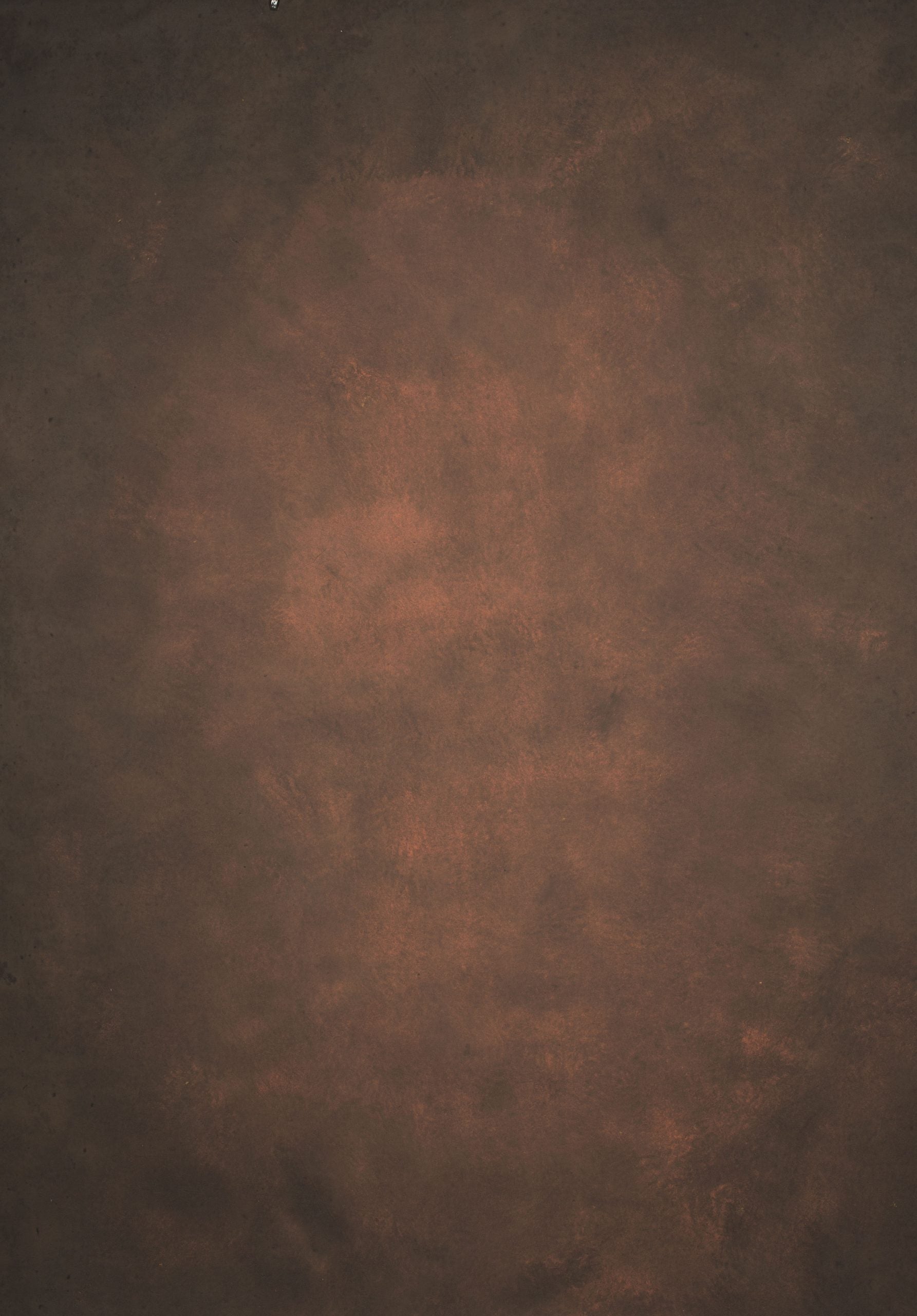 13139 Brown Mid Text L