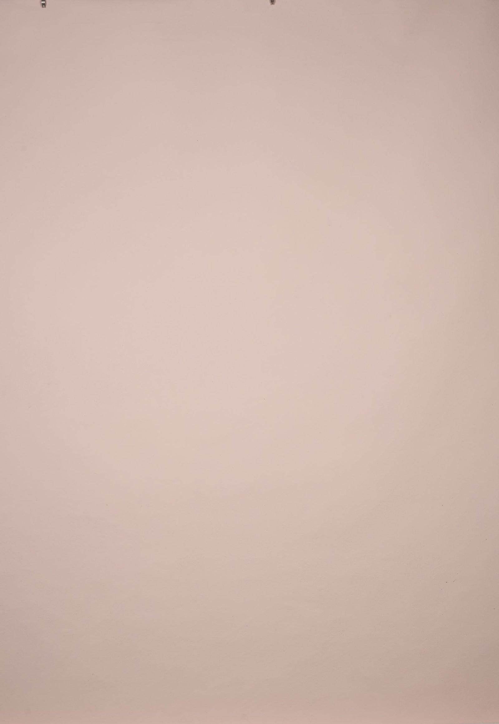 1314 Light Rose Low Text L+