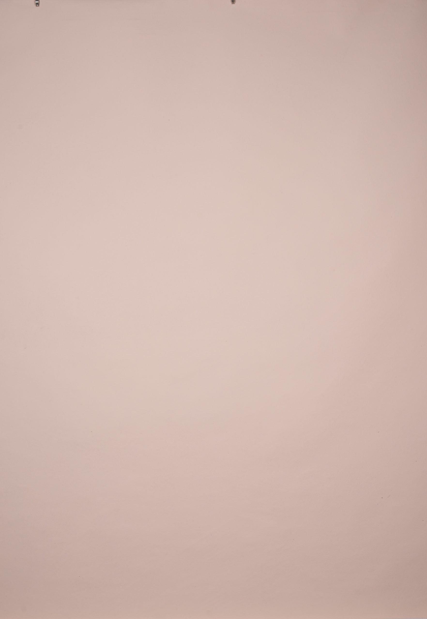 1314 Light Rose Low Text L+