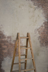 13166 Light Grey Brown Strong Text ST