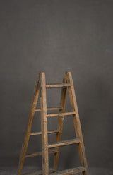 13170 Grey Distressed Text ST