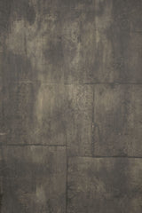 13172 Warm Grey Strong Text ST