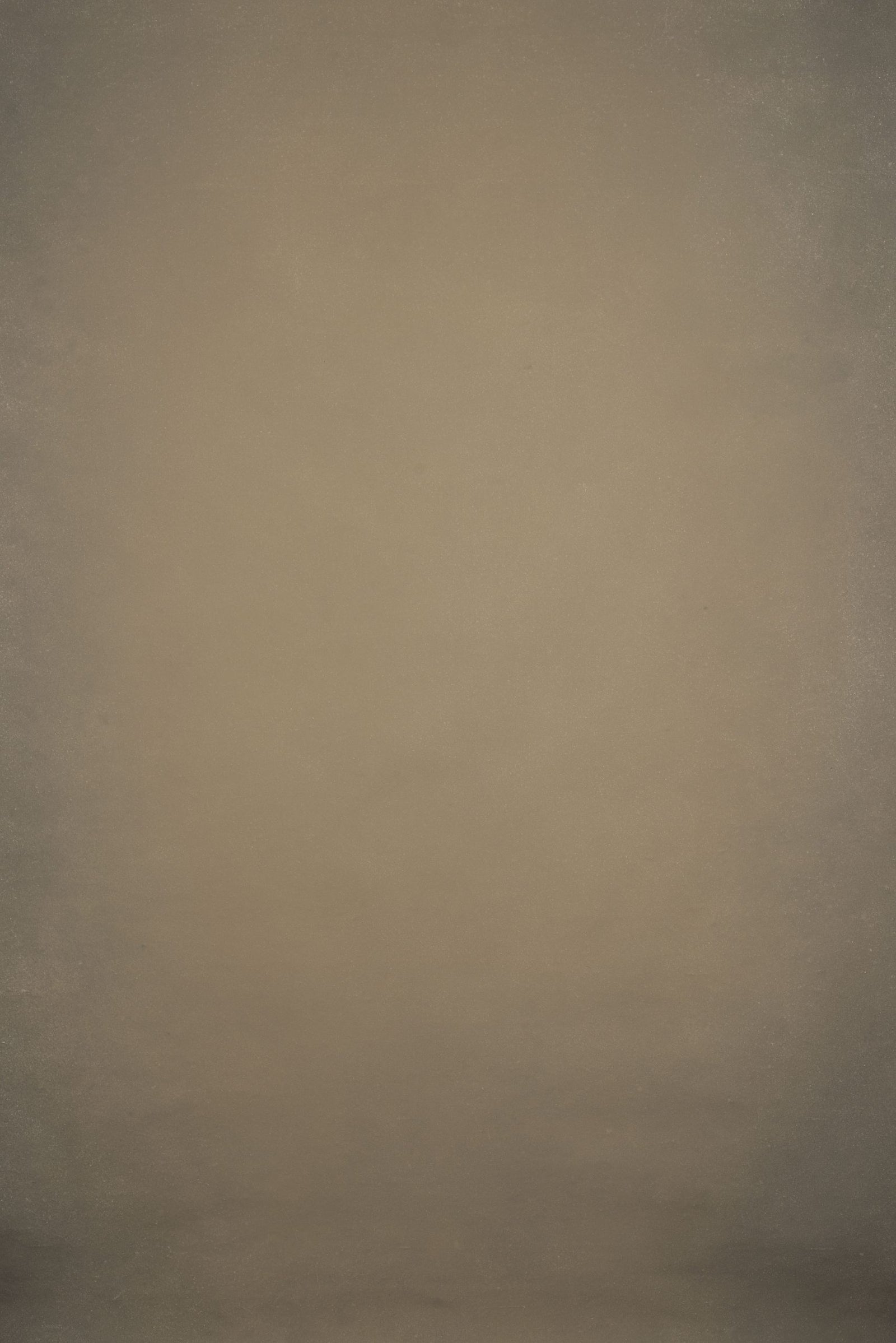 13176 Beige Distressed Text ST