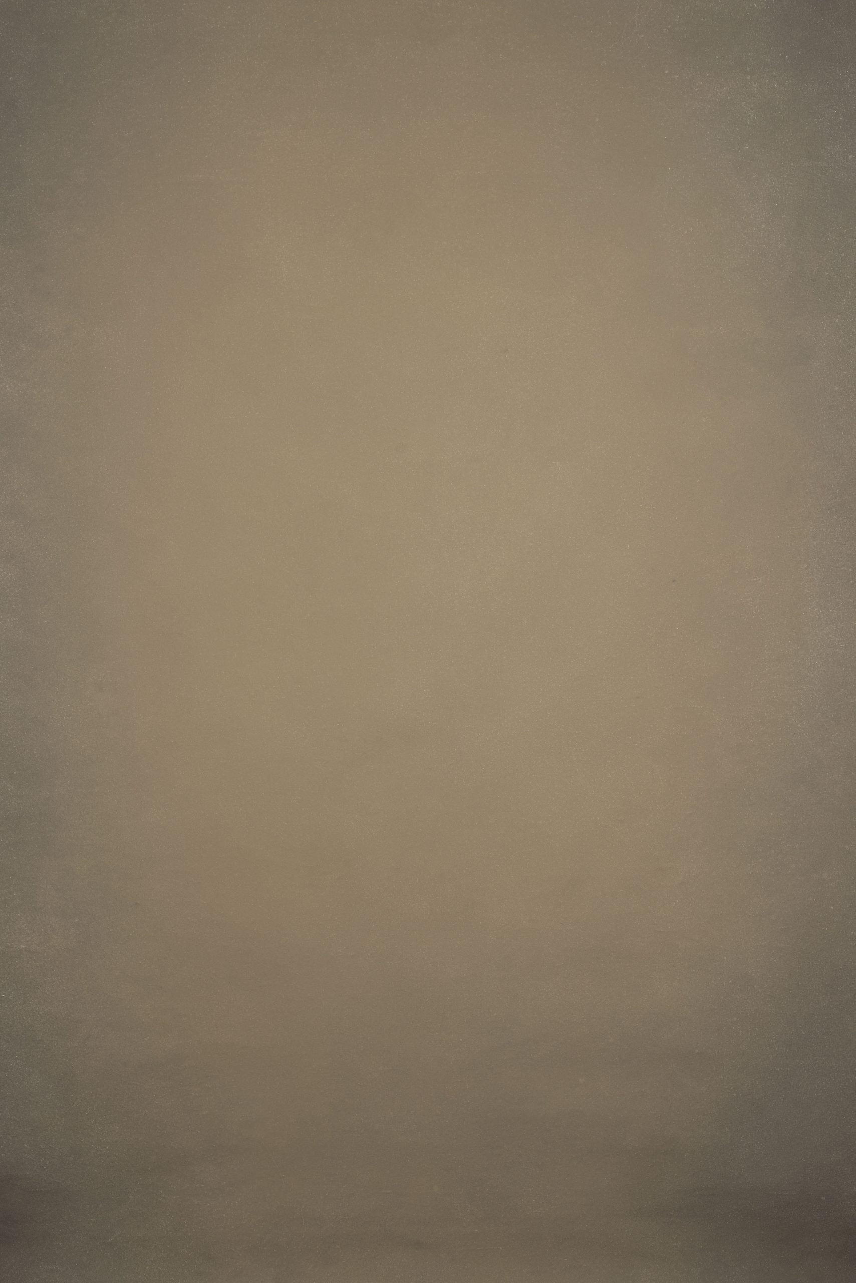 13176 Beige Distressed Text ST