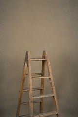 13176 Beige Distressed Text ST