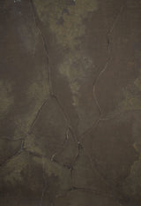 1321 Warm Grey Strong Text L+
