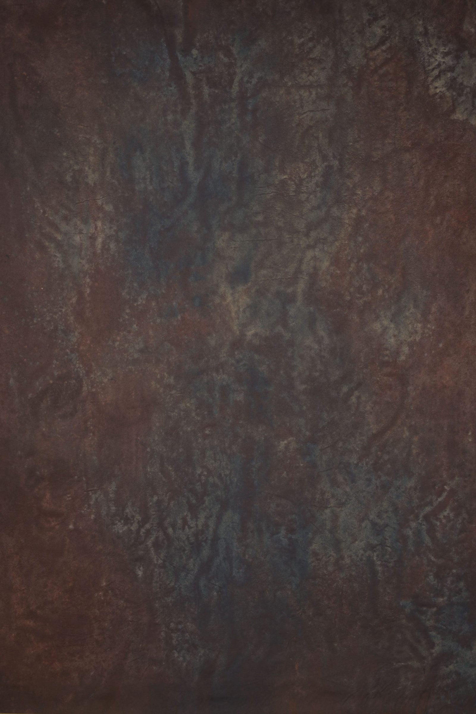 13803 Brown Blue Strong Text L