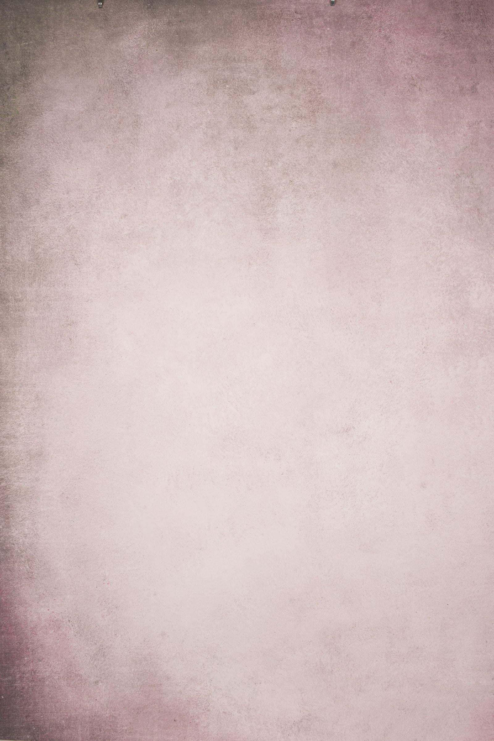 13804 Beige Rose Distressed Text L