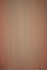 13838 Blue Orange Low Text L