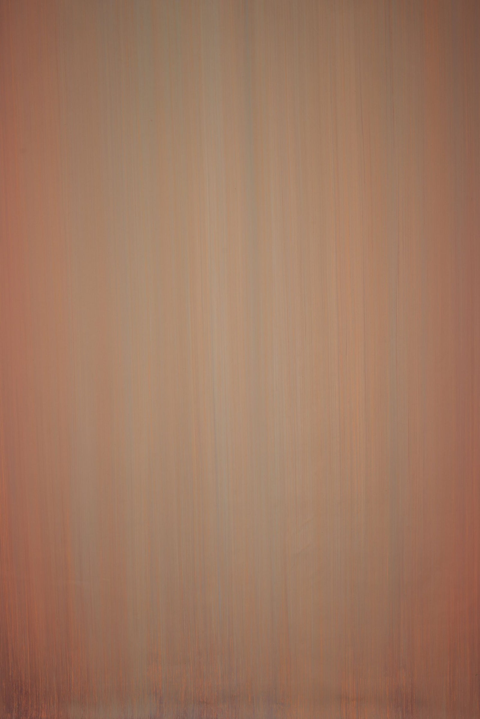 13838 Blue Orange Low Text L