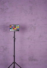 13843 Purple Mid Text L