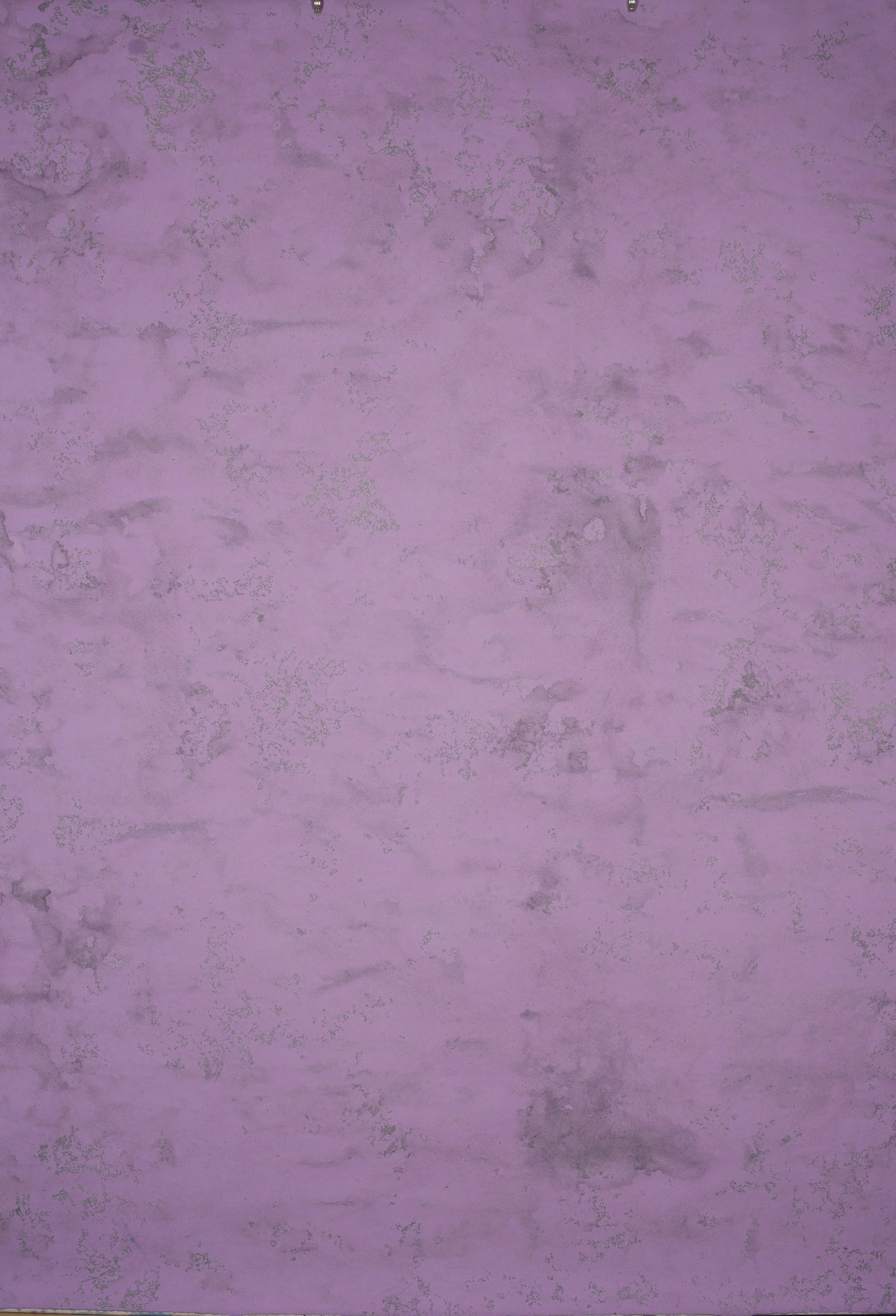 13843 Purple Mid Text L