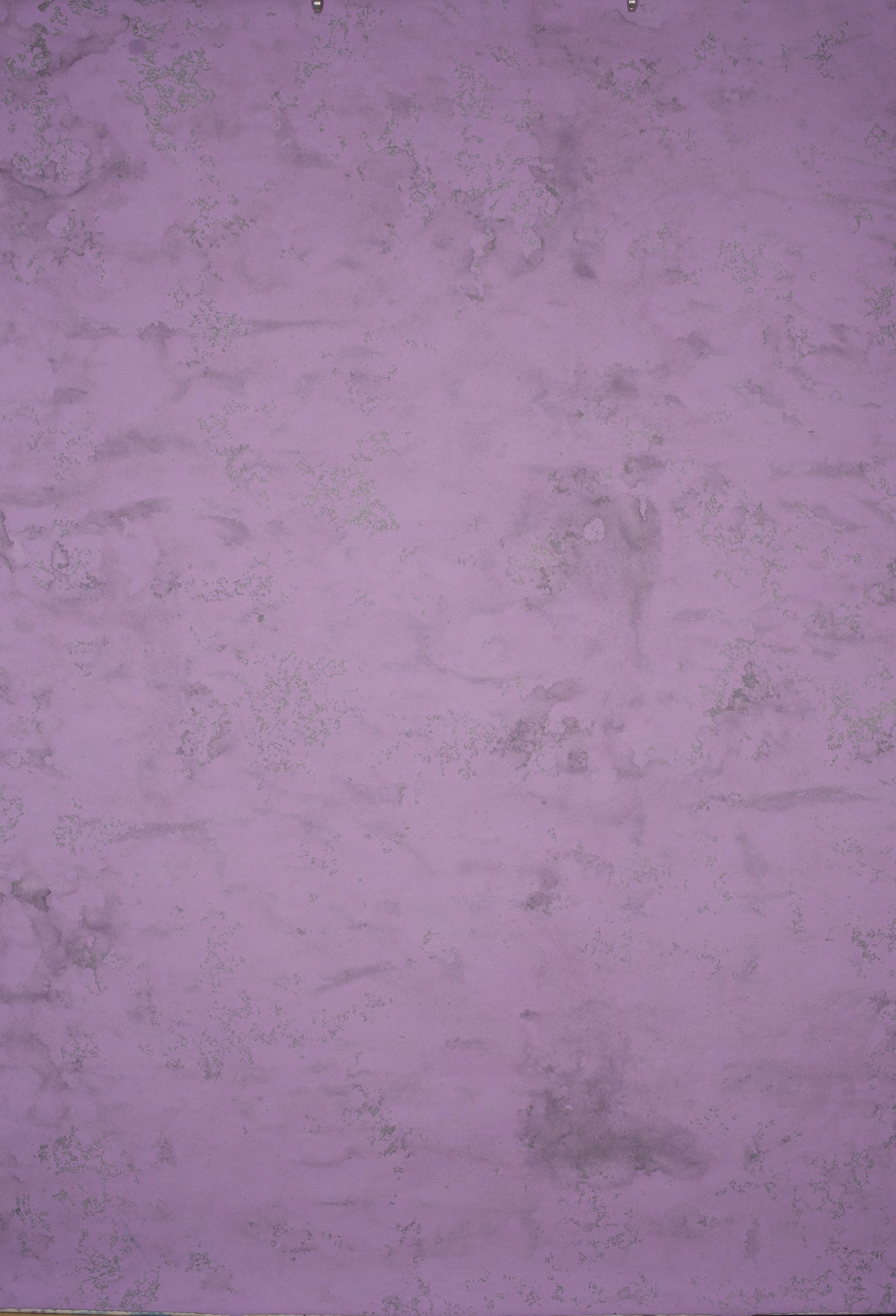 13843 Purple Mid Text L