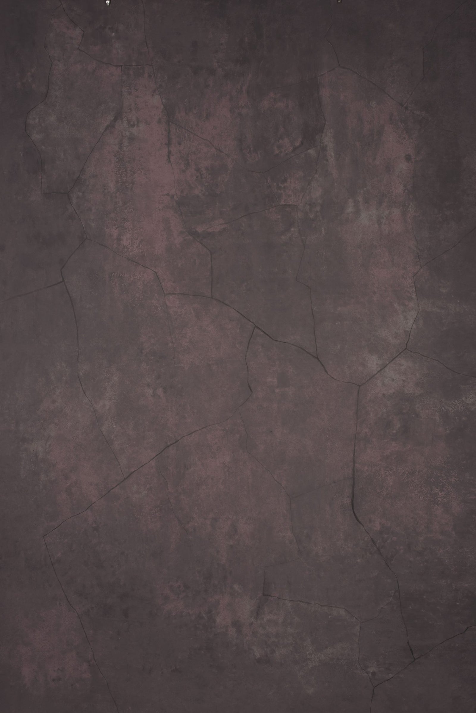 13846 Purple Strong Text L