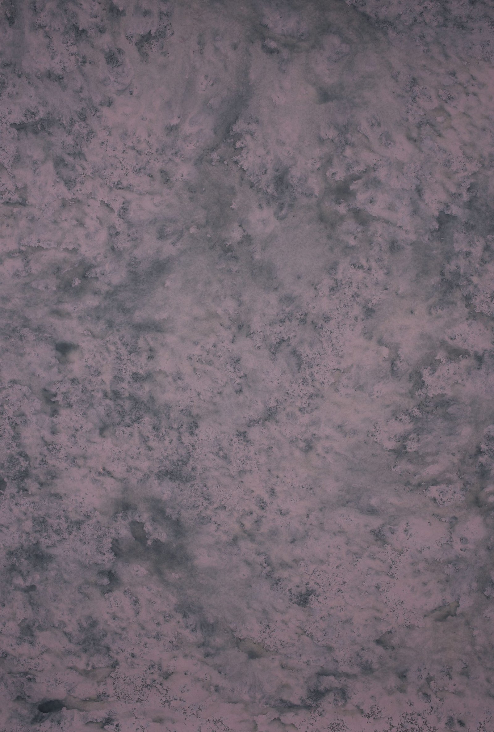 Purple Grey Backdrop Strong Text L 13847