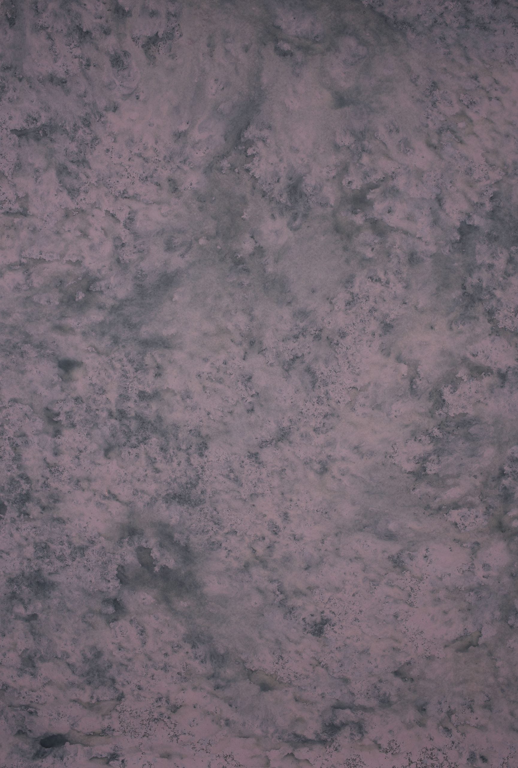 Purple Grey Backdrop Strong Text L 13847