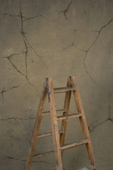 13850 Warm Grey Strong Text M