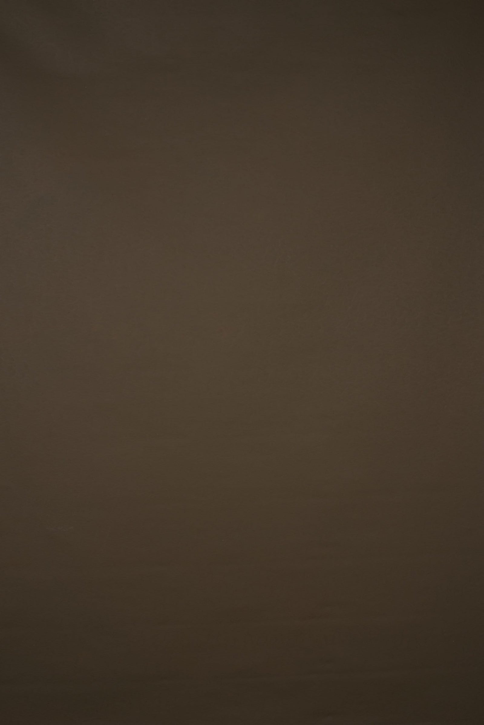 13862 Brown Low Text M