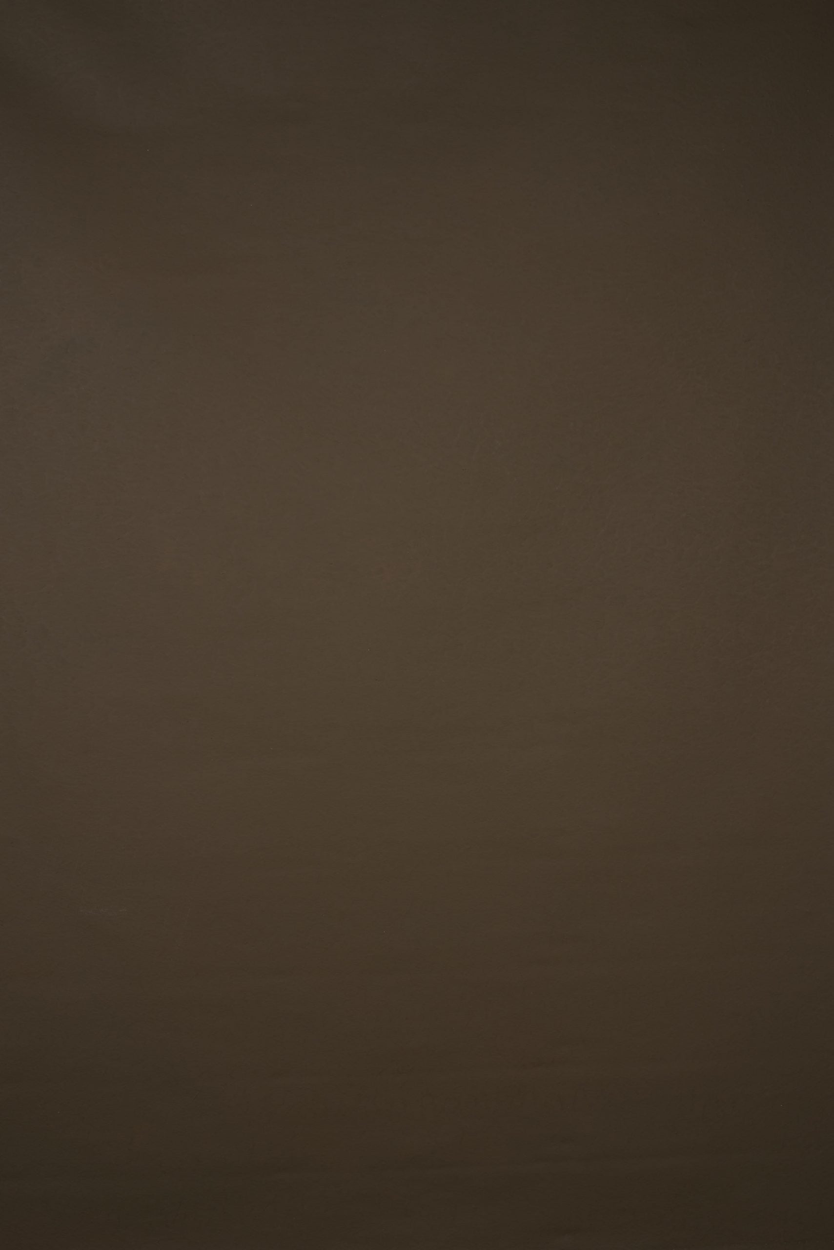 13862 Brown Low Text M