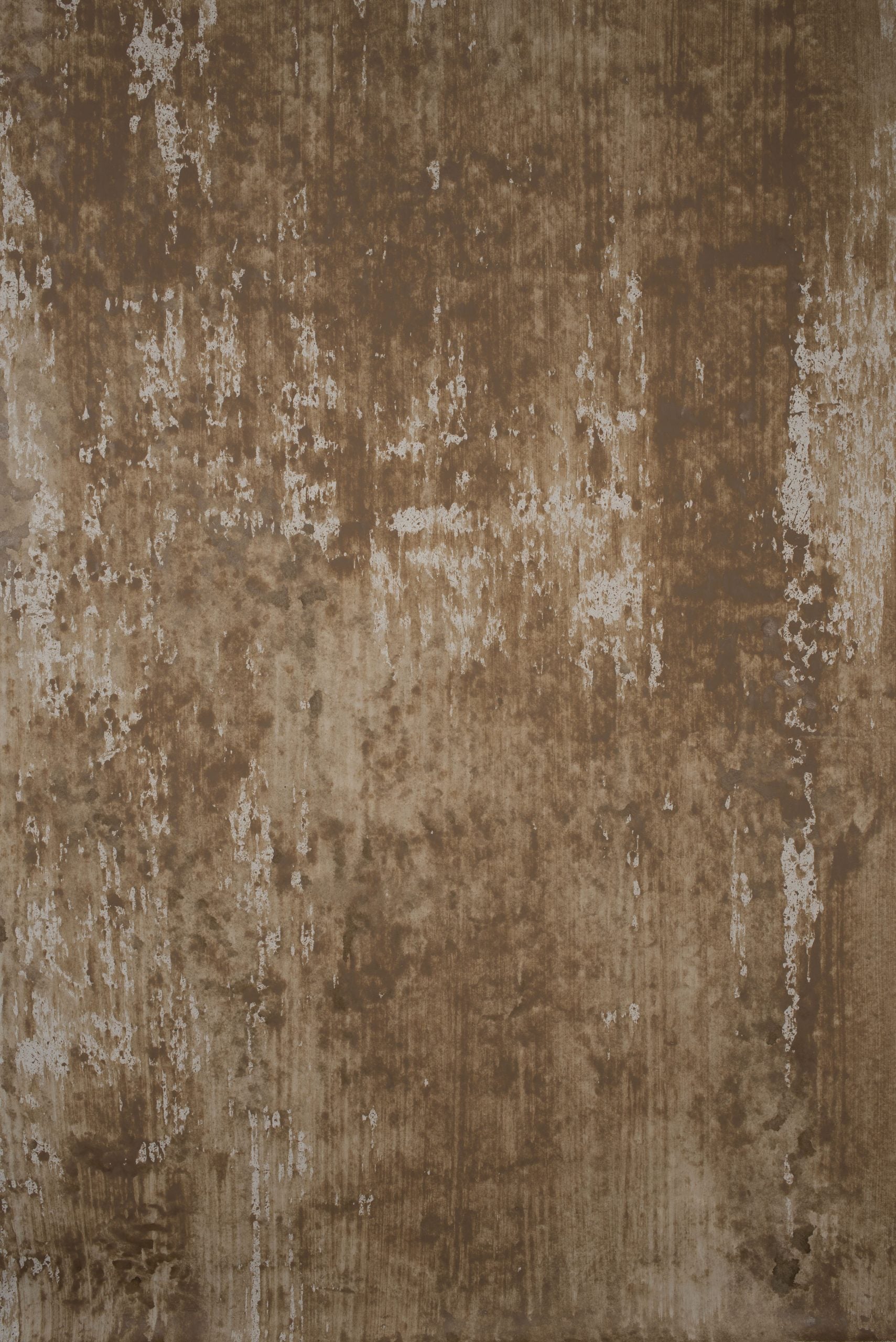 13865 Brown Grey Strong Text M