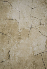 13871 Ochre Strong Text M