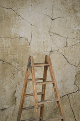 13871 Ochre Strong Text M